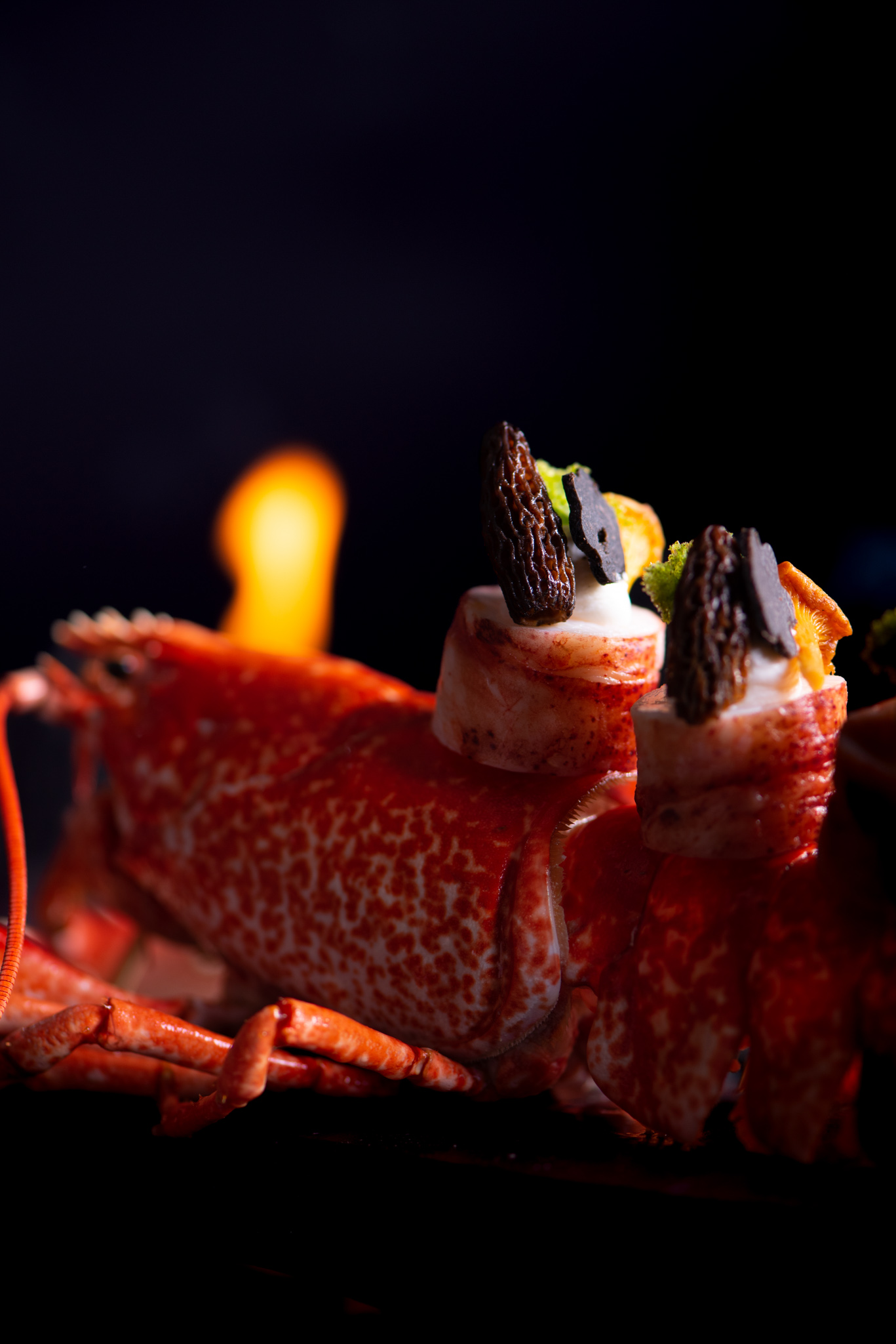 photographie culinaire homard