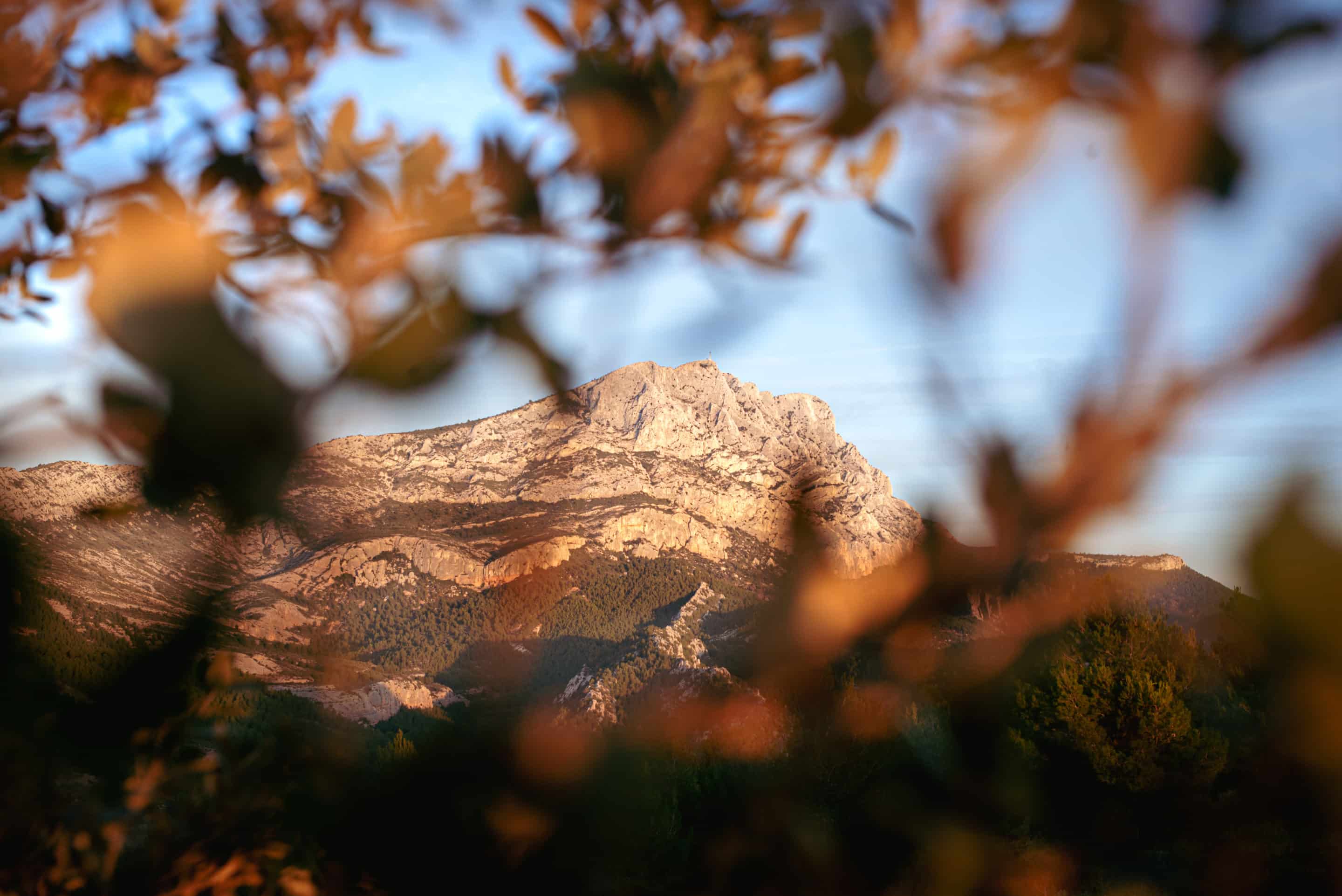 La Photographie de Paysage pour les Débutants : Conseils et Meilleures ...