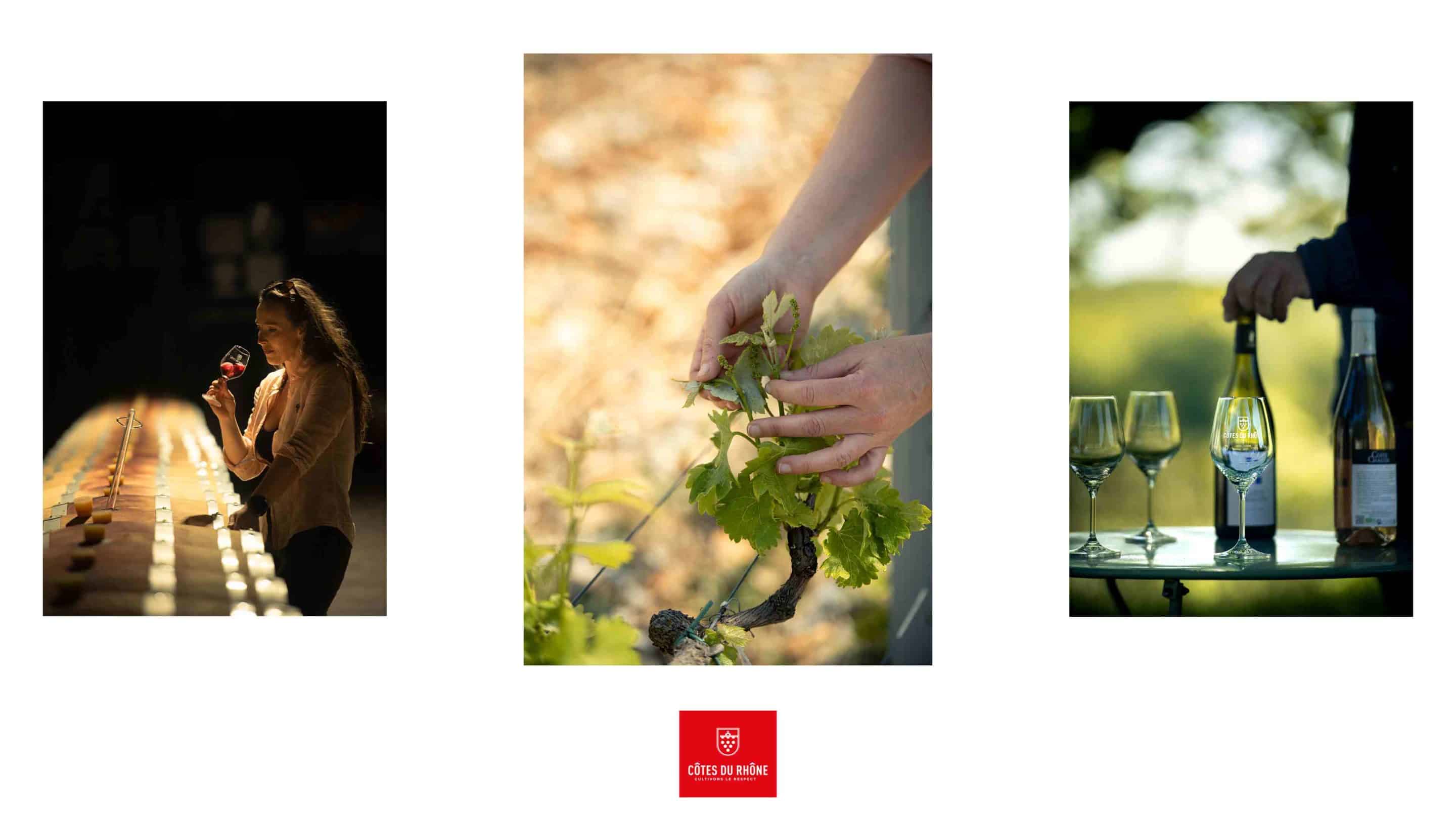 Workflow reportage photo dans les vignes réalisé par Visuell